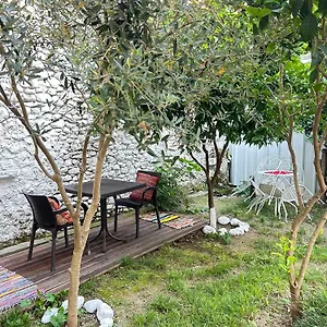 https://vila-koltrina.albaniahotels.org