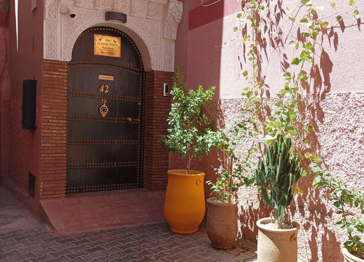 Riad Les Gazelles D'Orient Marrakech Marrakesh