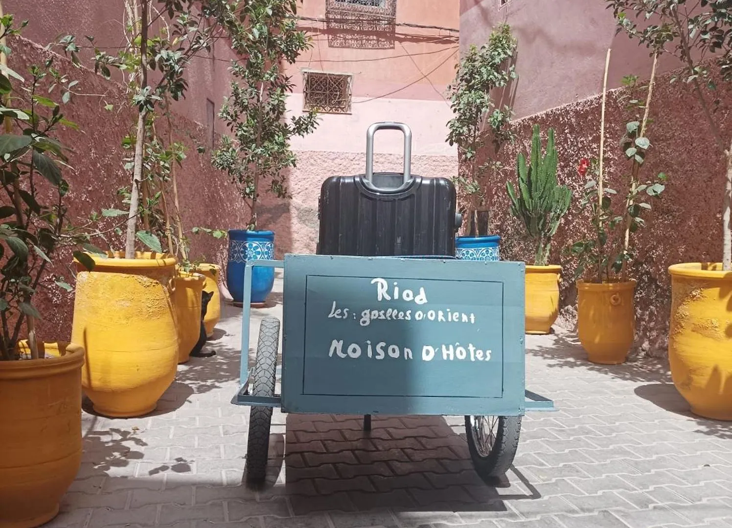Riad Les Gazelles D'Orient Marrakech Marrakesh